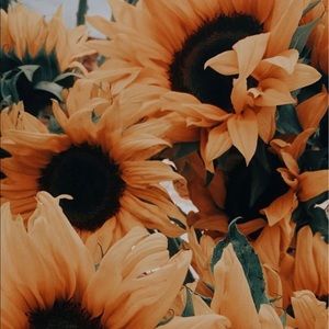 Meet your Posher, Christi